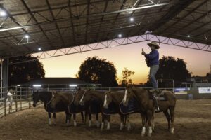 Tom Curtain with his team of Katherine Outback Experience horses. Credit Tourism NT/ Tourism Australia